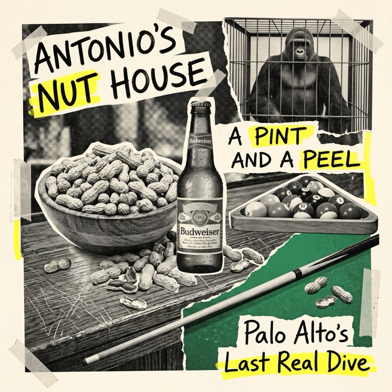 Antonio's Nut House — peanut shells, gorilla